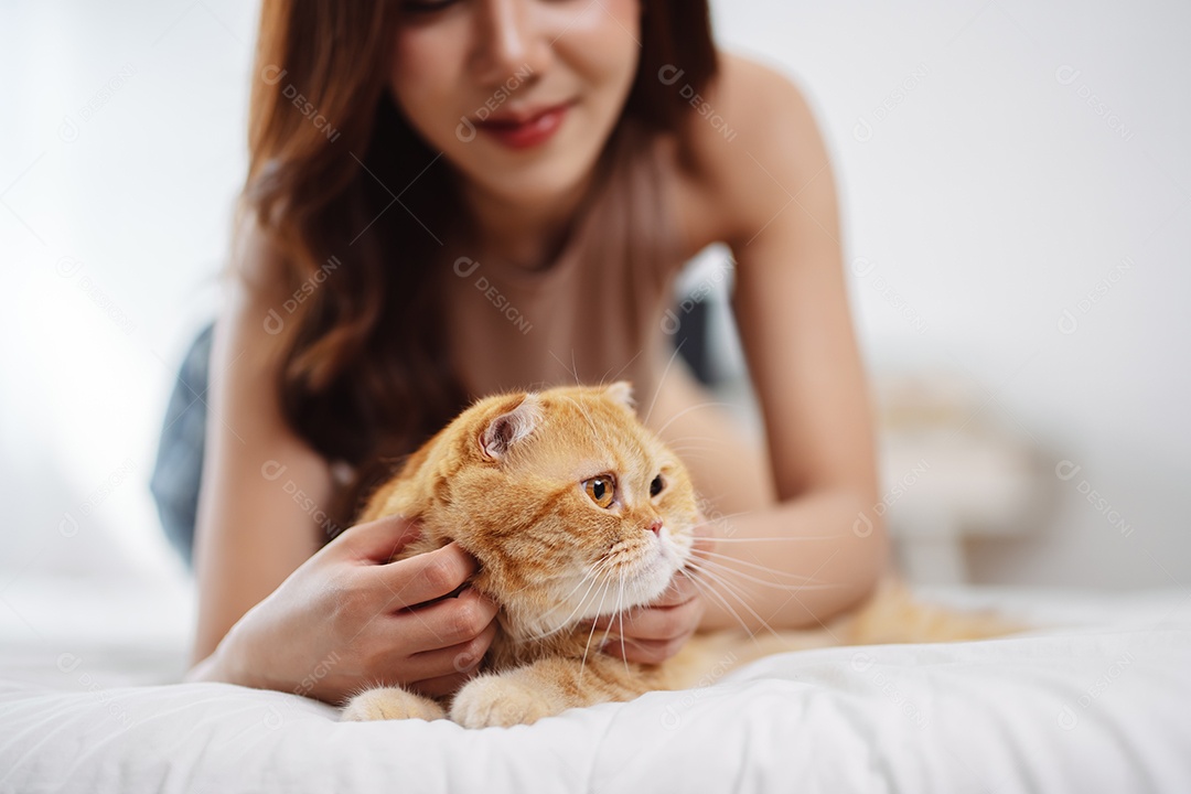 Gato brincalhão feliz brincalhão em uma casa. Amizade de animais de estimação e estilo de vida humano.