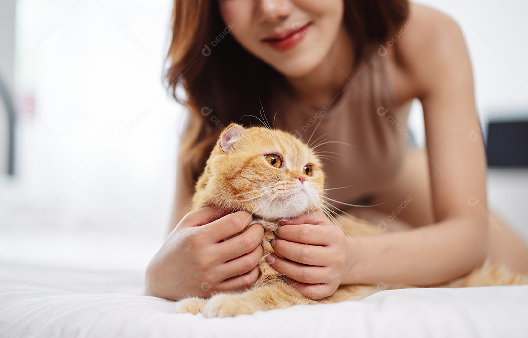 Gato brincalhão feliz brincalhão em uma casa. Amizade de animais de estimação e estilo de vida humano.