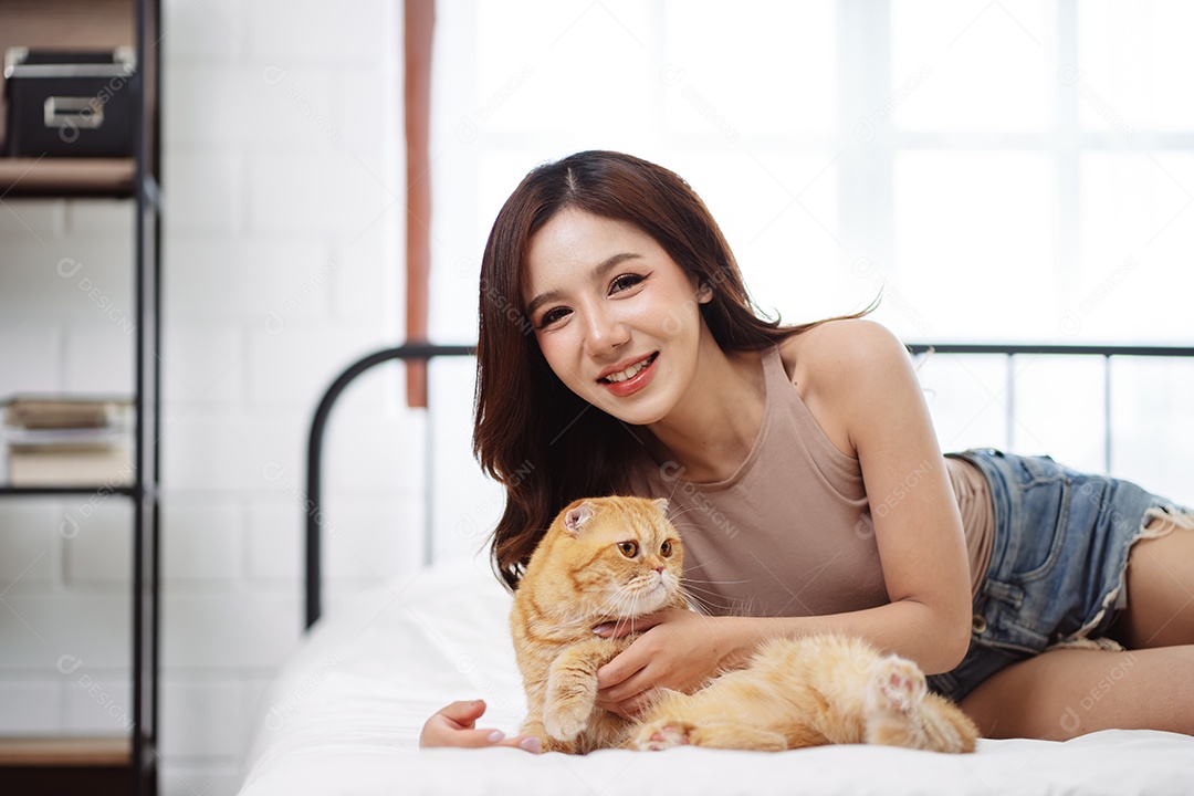 Gato brincalhão feliz brincalhão em uma casa. Amizade de animais de estimação e estilo de vida humano.