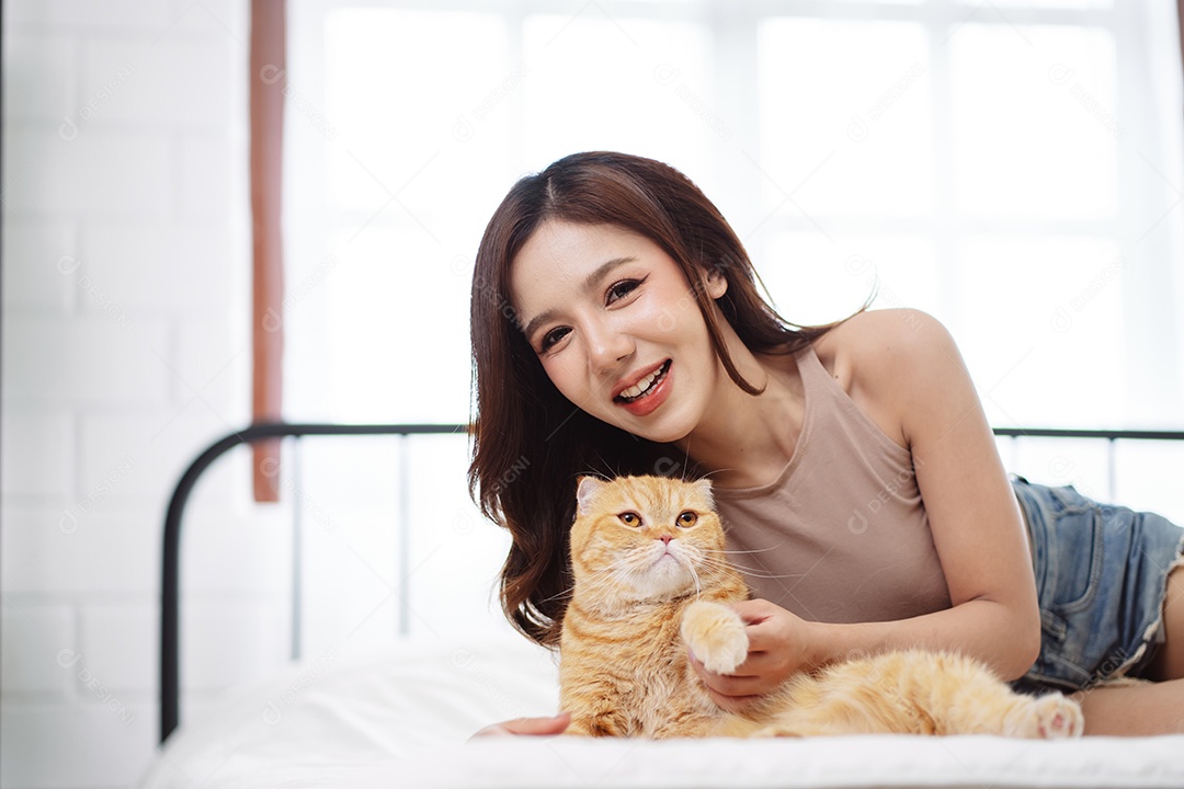 Gato brincalhão feliz brincalhão em uma casa. Amizade de animais de estimação e estilo de vida humano.