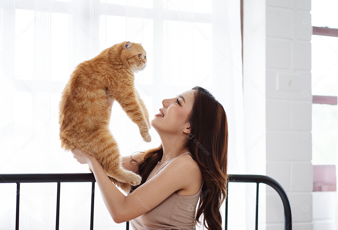 Gato brincalhão feliz brincalhão em uma casa. Amizade de animais de estimação e estilo de vida humano.