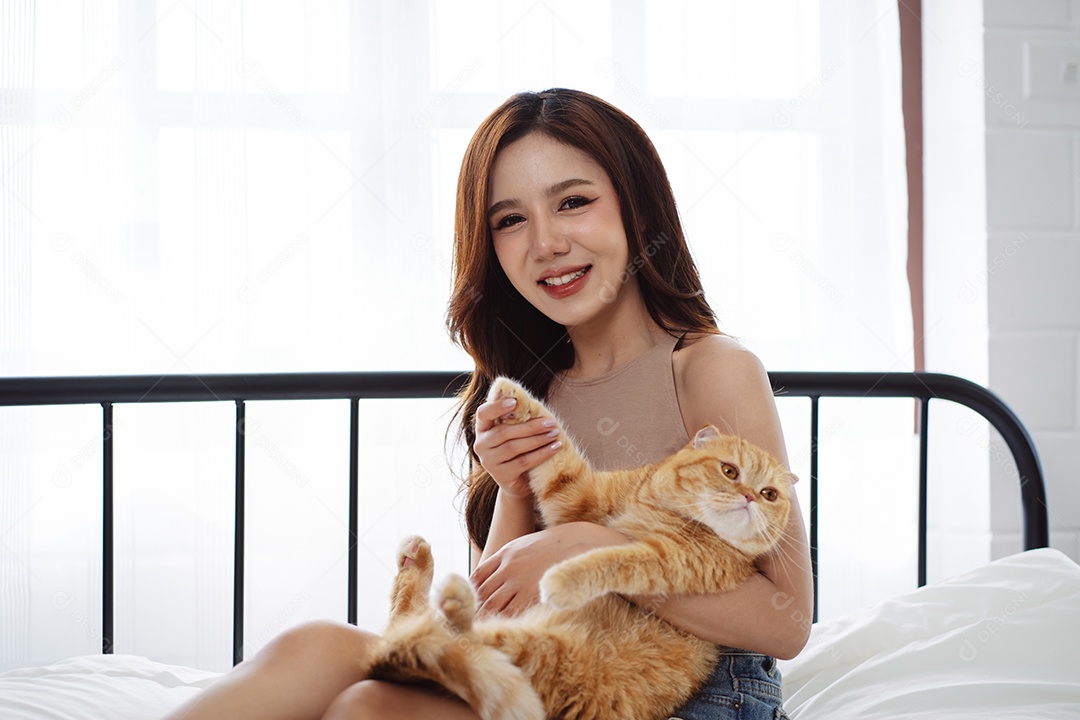 Gato brincalhão feliz brincalhão em uma casa. Amizade de animais de estimação e estilo de vida humano.