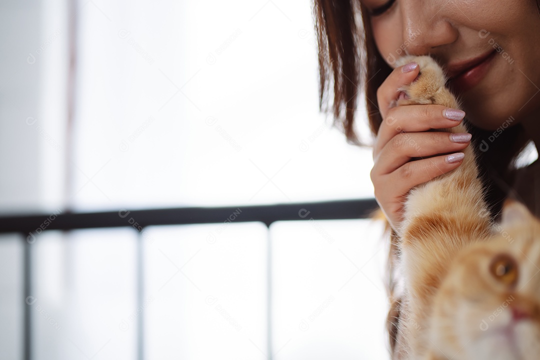 Gato brincalhão feliz brincalhão em uma casa. Amizade de animais de estimação e estilo de vida humano.