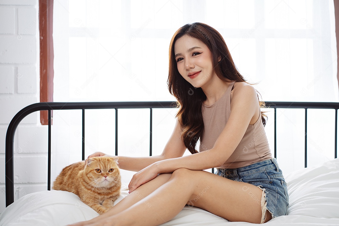 Gato brincalhão feliz brincalhão em uma casa. Amizade de animais de estimação e estilo de vida humano.