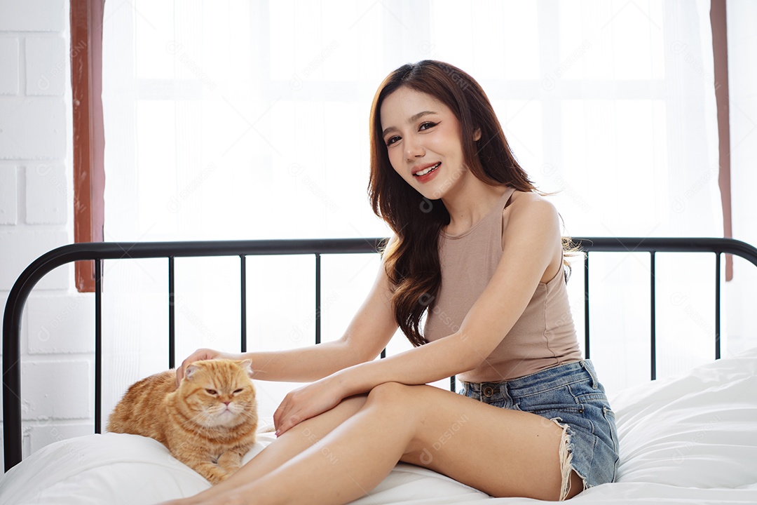 Gato brincalhão feliz brincalhão em uma casa. Amizade de animais de estimação e estilo de vida humano.