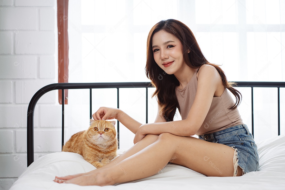 Gato brincalhão feliz brincalhão em uma casa. Amizade de animais de estimação e estilo de vida humano.