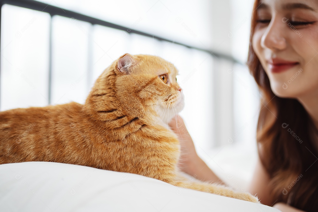 Gato brincalhão feliz brincalhão em uma casa. Amizade de animais de estimação e estilo de vida humano.