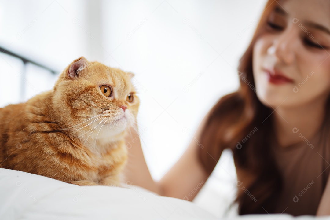 Gato brincalhão feliz brincalhão em uma casa. Amizade de animais de estimação e estilo de vida humano.
