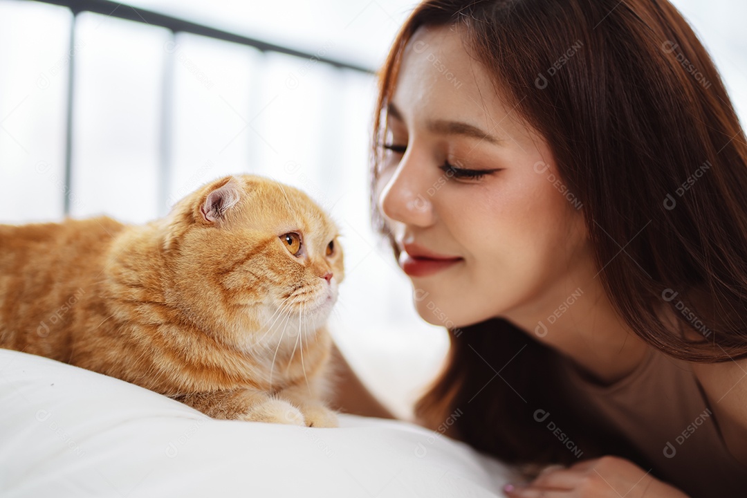 Gato brincalhão feliz brincalhão em uma casa. Amizade de animais de estimação e estilo de vida humano.