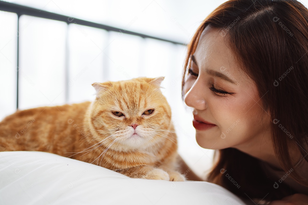 Gato brincalhão feliz brincalhão em uma casa. Amizade de animais de estimação e estilo de vida humano.