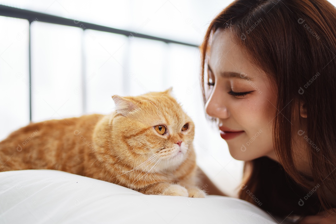 Gato brincalhão feliz brincalhão em uma casa. Amizade de animais de estimação e estilo de vida humano.