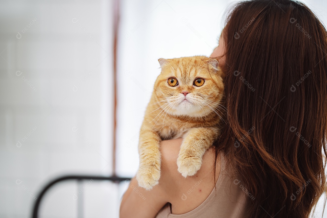 Gato brincalhão feliz brincalhão em uma casa. Amizade de animais de estimação e estilo de vida humano.