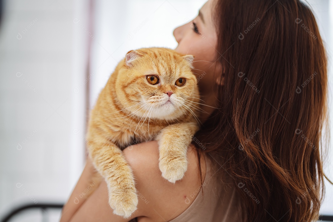 Gato brincalhão feliz brincalhão em uma casa. Amizade de animais de estimação e estilo de vida humano.