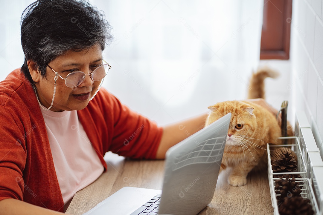 Mulher madura sênior asiática feliz trabalhando com computador portátil com gato bonito.