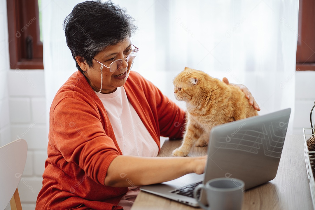 Mulher madura sênior asiática feliz trabalhando com computador portátil com gato bonito.