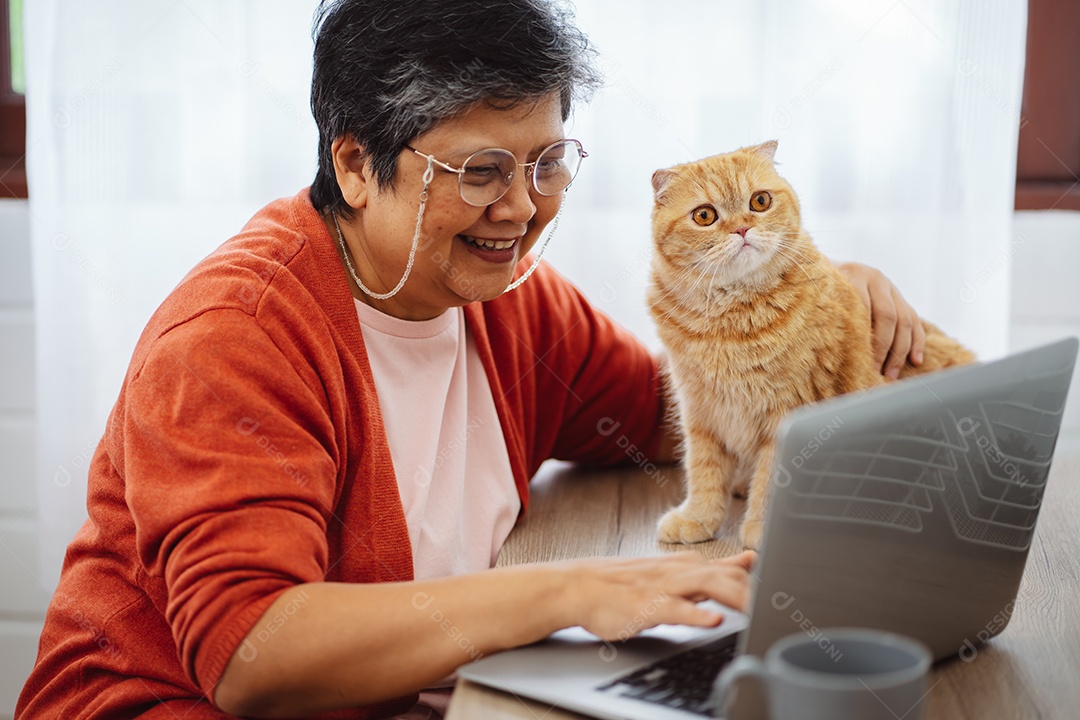 Mulher madura sênior asiática feliz trabalhando com computador portátil com gato bonito.