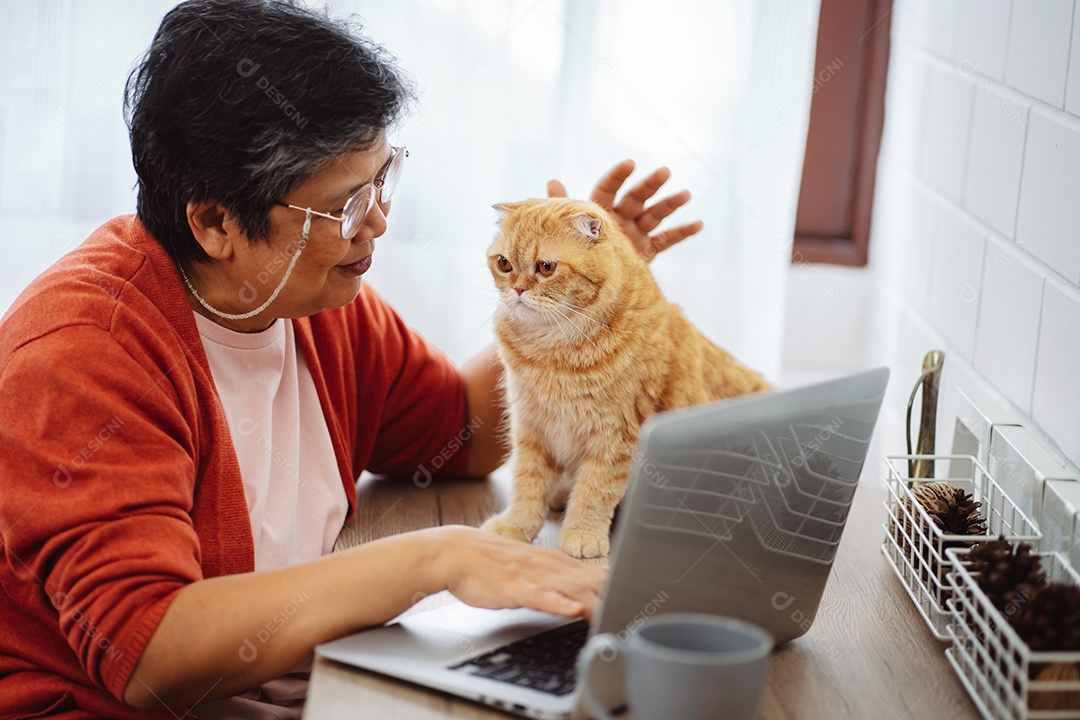 Mulher madura sênior asiática feliz trabalhando com computador portátil com gato bonito.