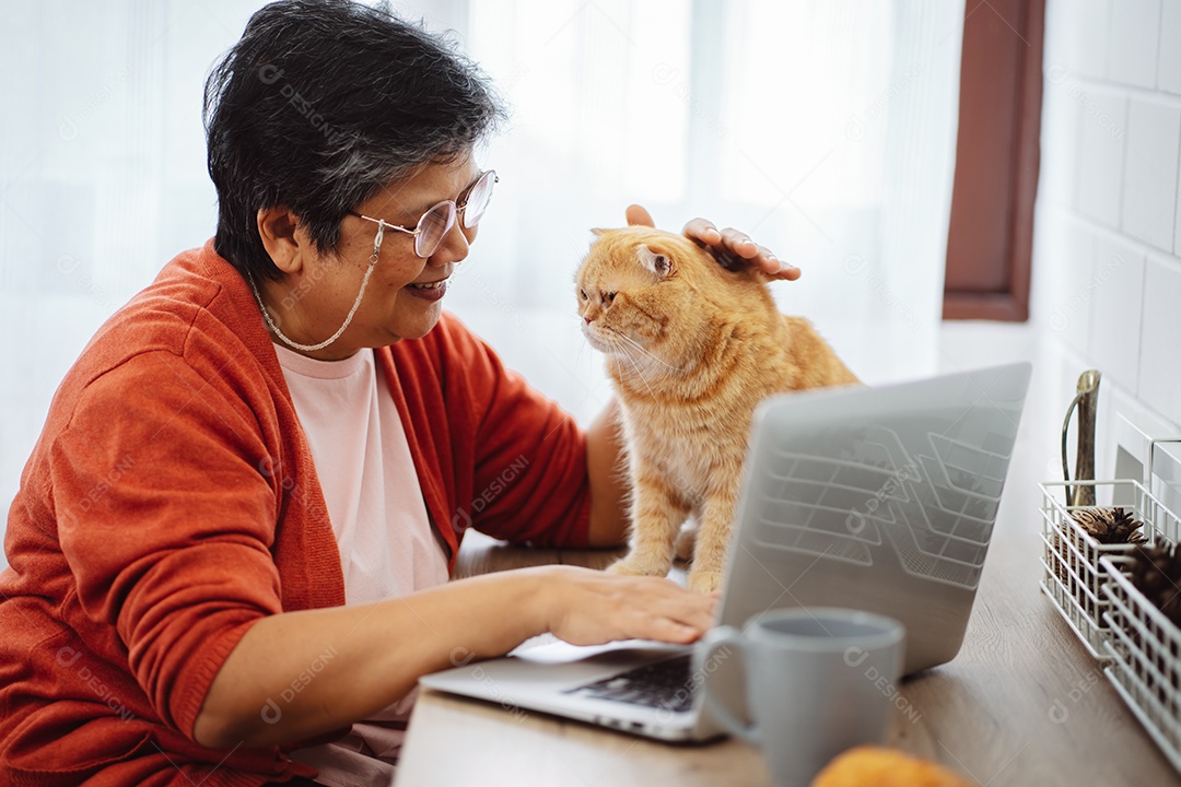 Mulher madura sênior asiática feliz trabalhando com computador portátil com gato bonito.