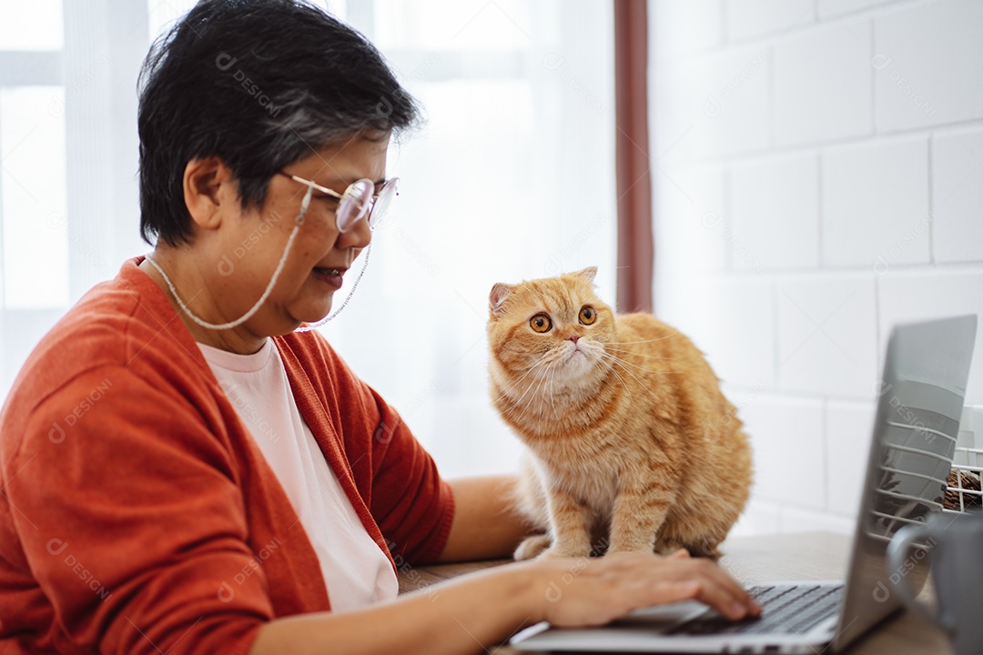 Mulher madura sênior asiática feliz trabalhando com computador portátil com gato bonito.