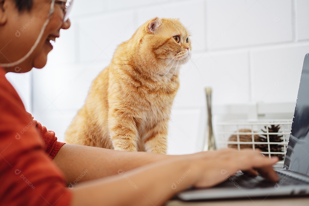 Mulher madura sênior asiática feliz trabalhando com computador portátil com gato bonito.