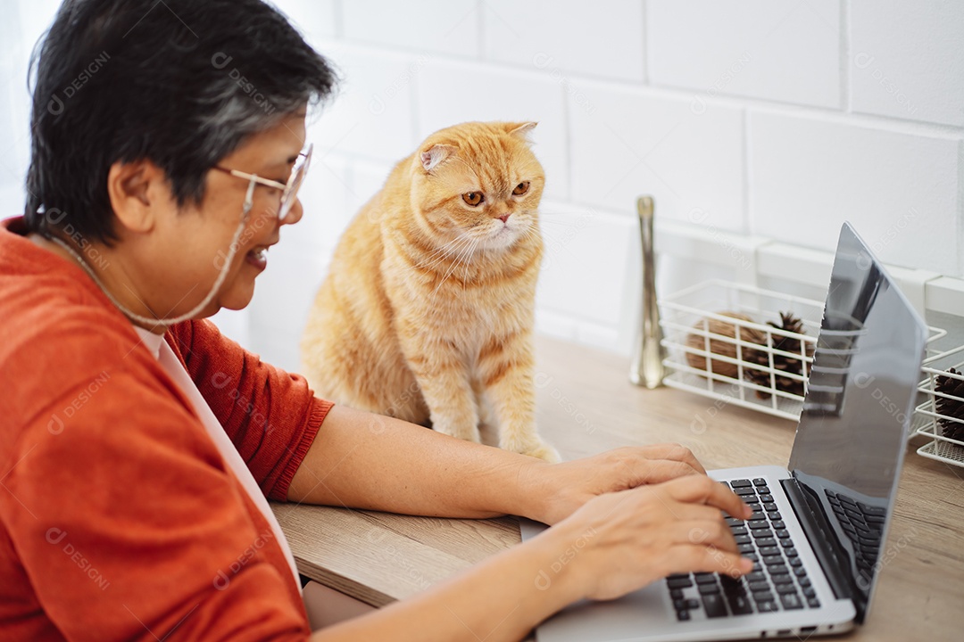 Mulher madura sênior asiática feliz trabalhando com computador portátil com gato bonito.