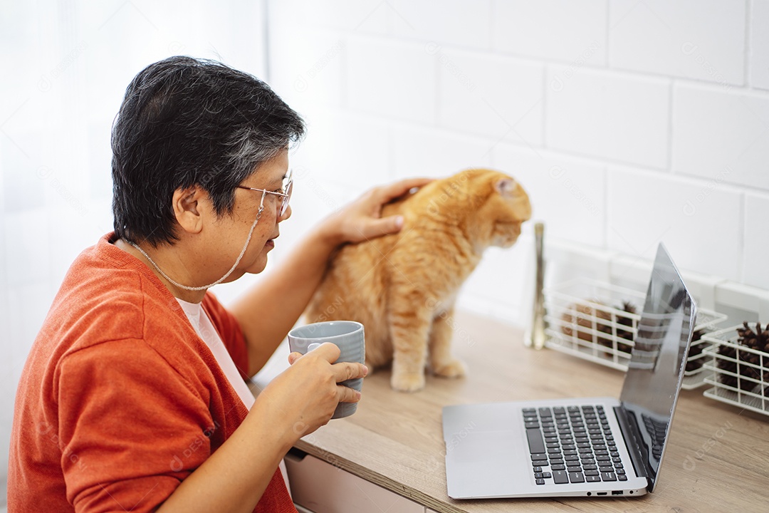 Mulher madura sênior asiática feliz trabalhando com computador portátil com gato bonito.