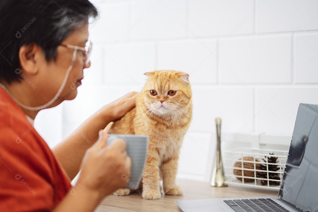 Mulher madura sênior asiática feliz trabalhando com computador portátil com gato bonito.