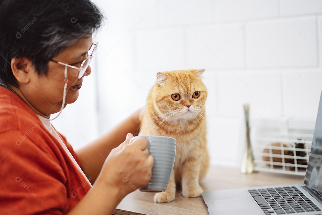 Mulher madura sênior asiática feliz trabalhando com computador portátil com gato bonito.