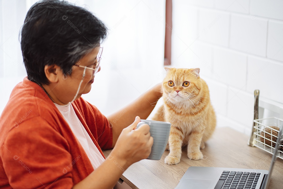 Mulher madura sênior asiática feliz trabalhando com computador portátil com gato bonito.