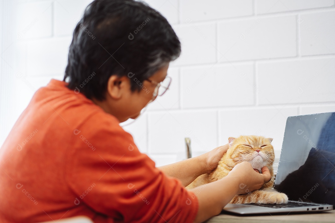 Mulher madura sênior asiática feliz trabalhando com computador portátil com gato bonito.