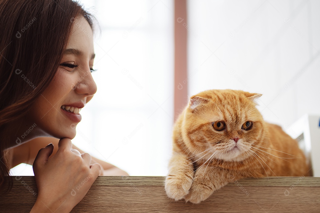 Gato bonito feliz brincalhão em uma casa. Amizade de animais de estimação e estilo de vida humano.