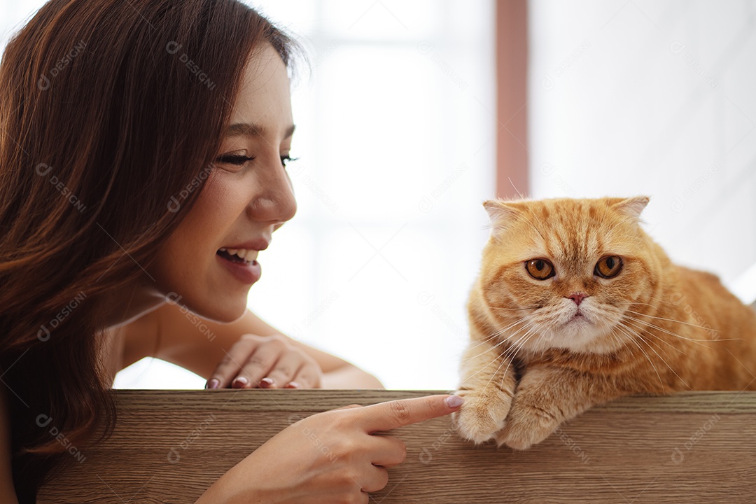 Gato bonito feliz brincalhão em uma casa. Amizade de animais de estimação e estilo de vida humano.
