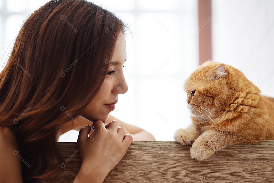 Gato bonito do dono da mulher asiática feliz brincalhão em uma casa. Amizade de animais de estimação e estilo de vida humano.