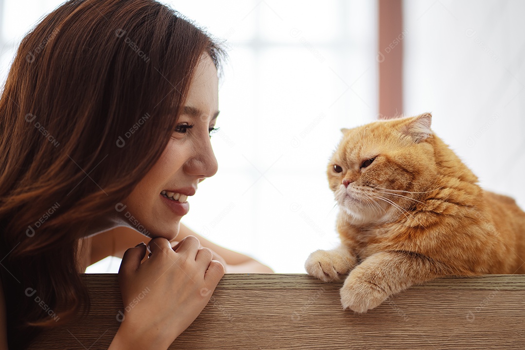 Gato bonito feliz brincalhão em uma casa. Amizade de animais de estimação e estilo de vida humano.