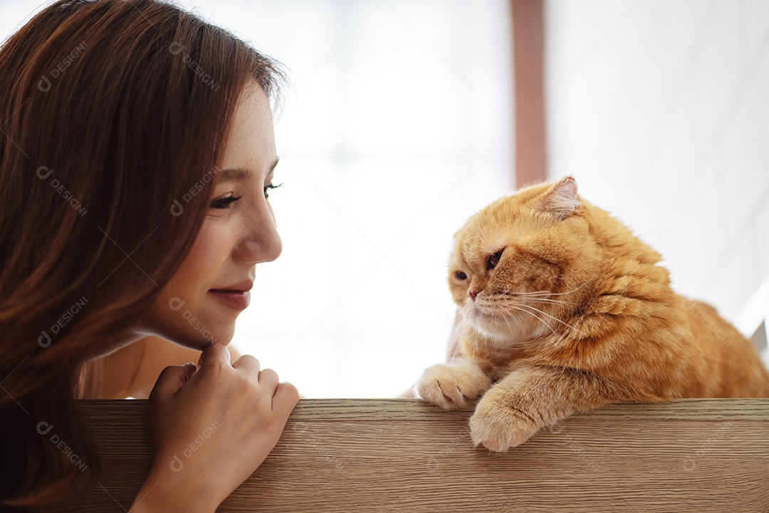 Gato bonito feliz brincalhão em uma casa. Amizade de animais de estimação e estilo de vida humano.