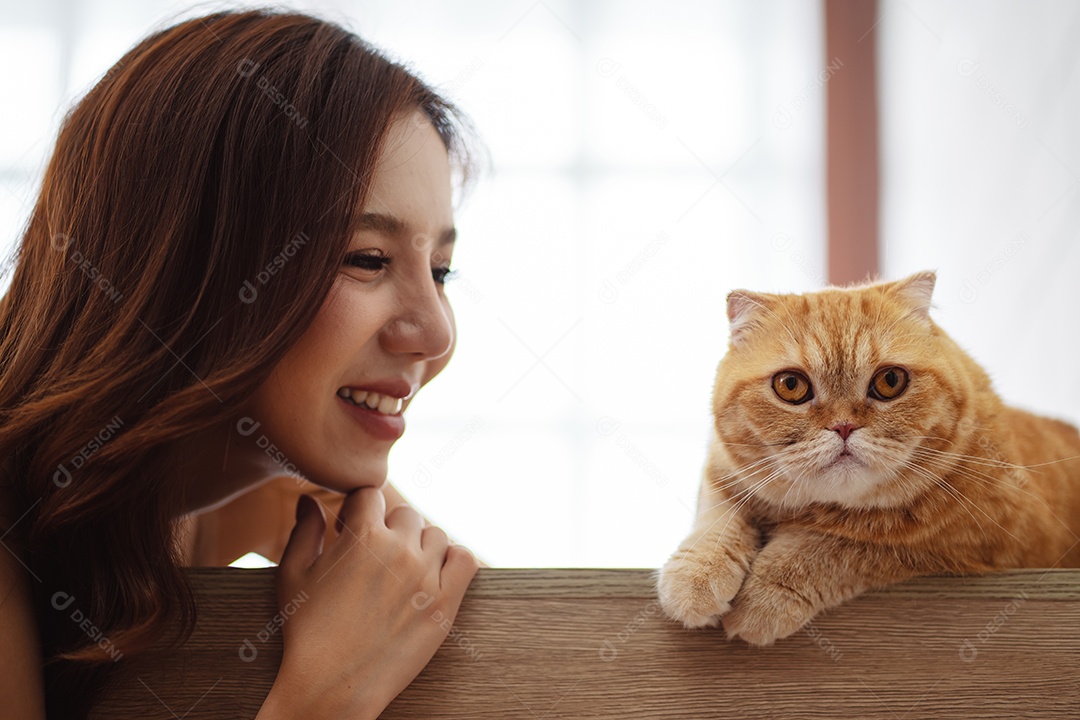 Gato bonito feliz brincalhão em uma casa. Amizade de animais de estimação e estilo de vida humano.