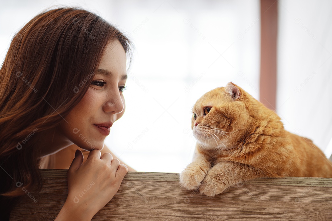 Gato bonito feliz brincalhão em uma casa. Amizade de animais de estimação e estilo de vida humano.