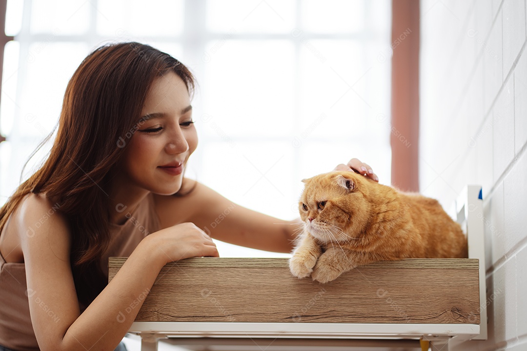 Gato bonito feliz brincalhão em uma casa. Amizade de animais de estimação e estilo de vida humano.