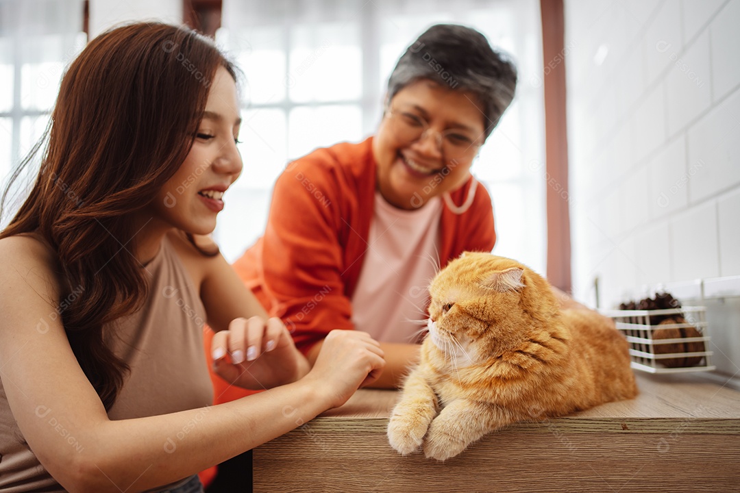 Mulher asiática feliz e mãe sênior brincando com um gato fofo brincalhão em uma casa.