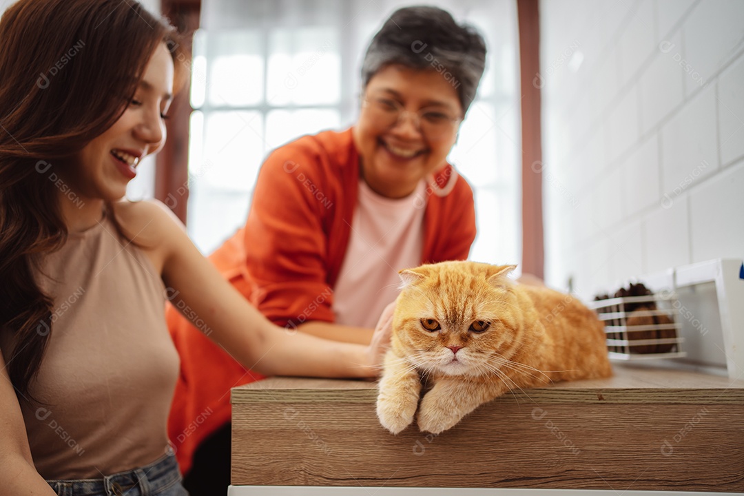 Mulher asiática feliz e mãe sênior brincando com um gato fofo brincalhão em uma casa.