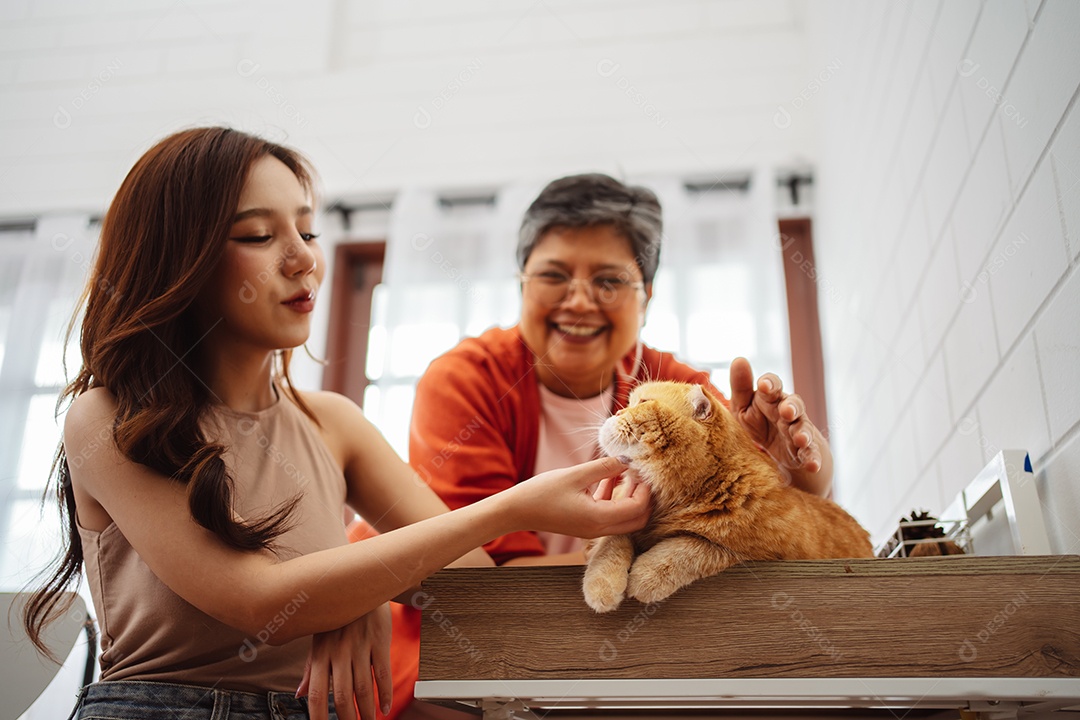 Mulher asiática feliz e mãe sênior brincando com um gato fofo brincalhão em uma casa.