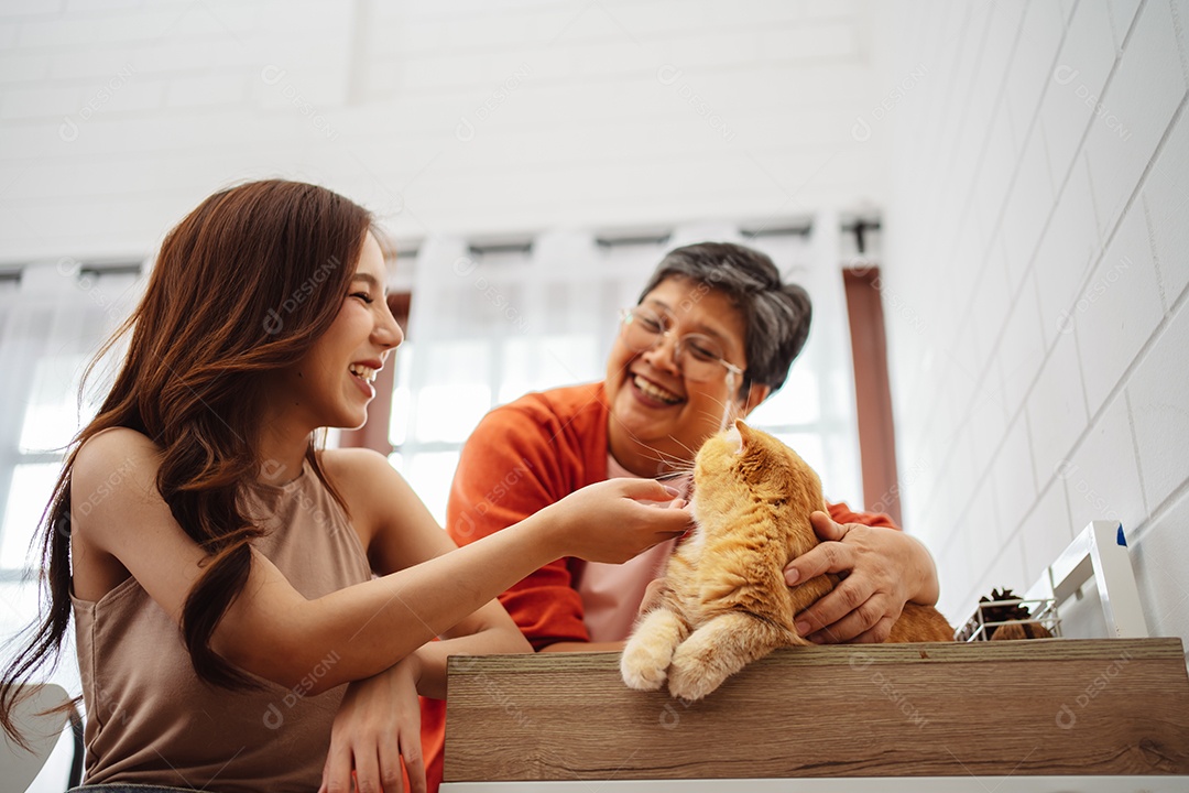 Mulher asiática feliz e mãe sênior brincando com um gato fofo brincalhão em uma casa.
