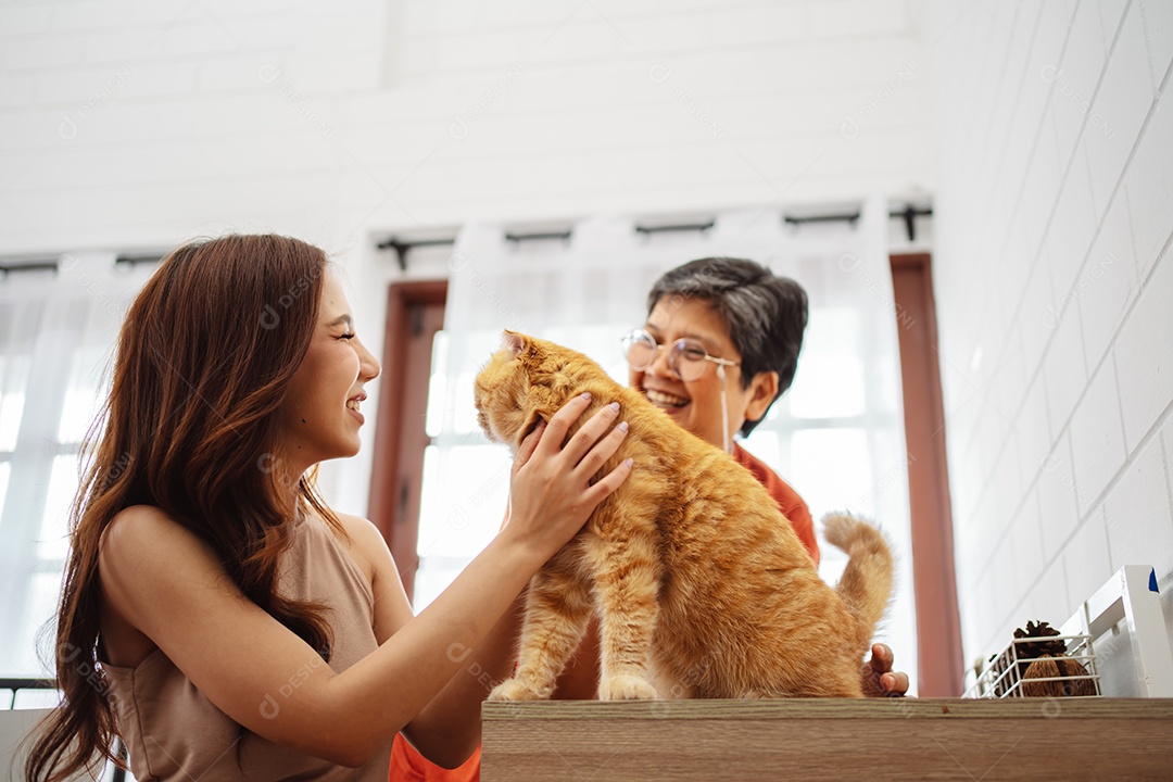 Mulher asiática feliz e mãe sênior brincando com um gato fofo brincalhão em uma casa.