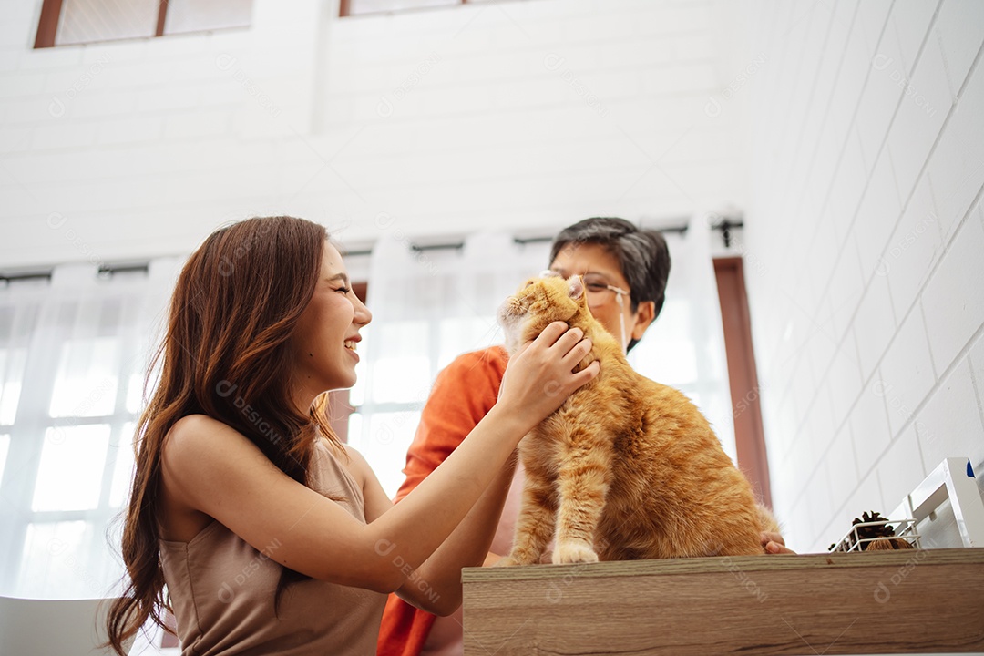 Mulher asiática feliz e mãe sênior brincando com um gato fofo brincalhão em uma casa.