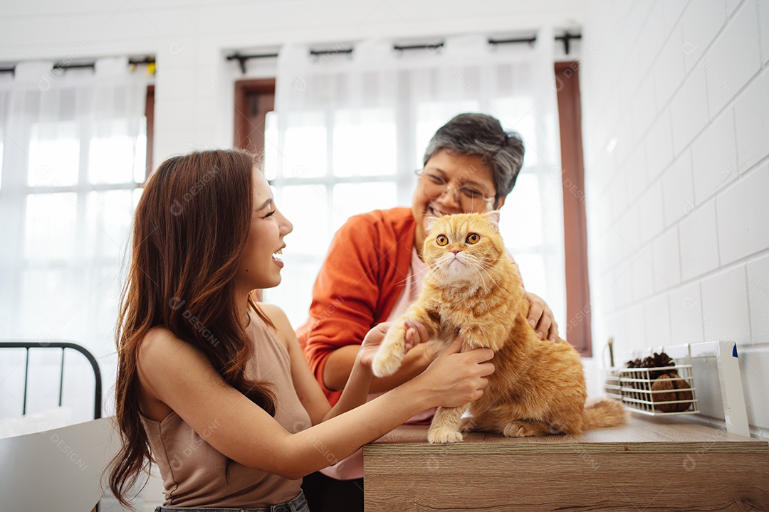 Mulher asiática feliz e mãe sênior brincando com um gato fofo brincalhão em uma casa.