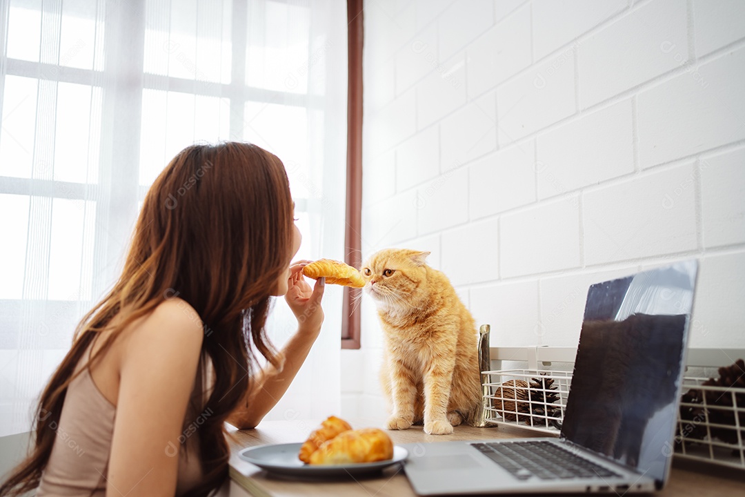 Mulher jovem asiática feliz trabalhando com computador portátil com gato bonito durante o dia de manhã.