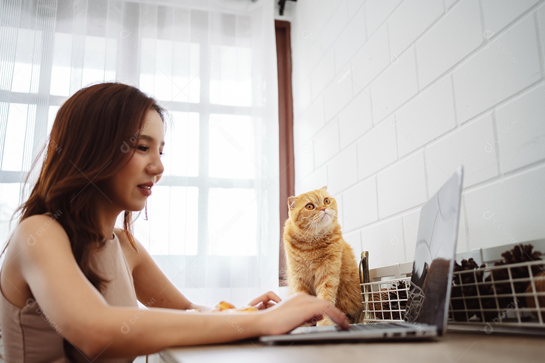 Mulher jovem asiática feliz trabalhando com computador portátil com gato bonito durante o dia de manhã.