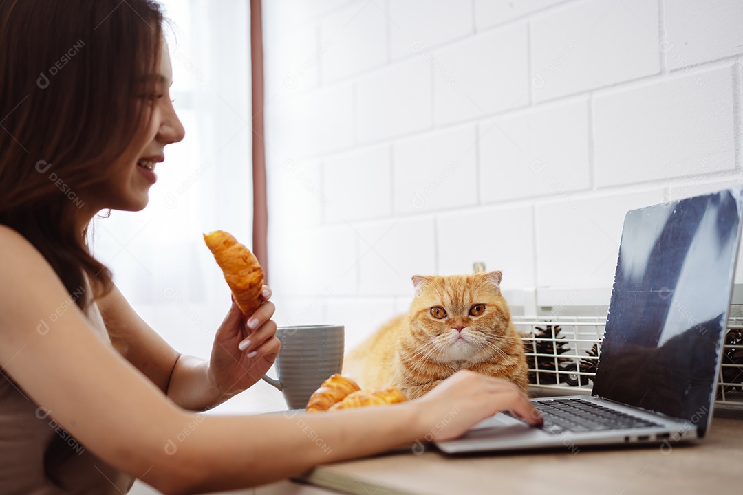 Mulher jovem asiática feliz trabalhando com computador portátil com gato bonito durante o dia de manhã.