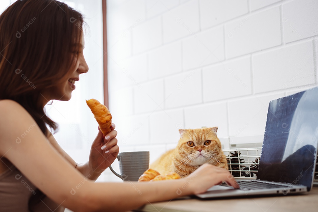 Mulher jovem asiática feliz trabalhando com computador portátil com gato bonito durante o dia de manhã.