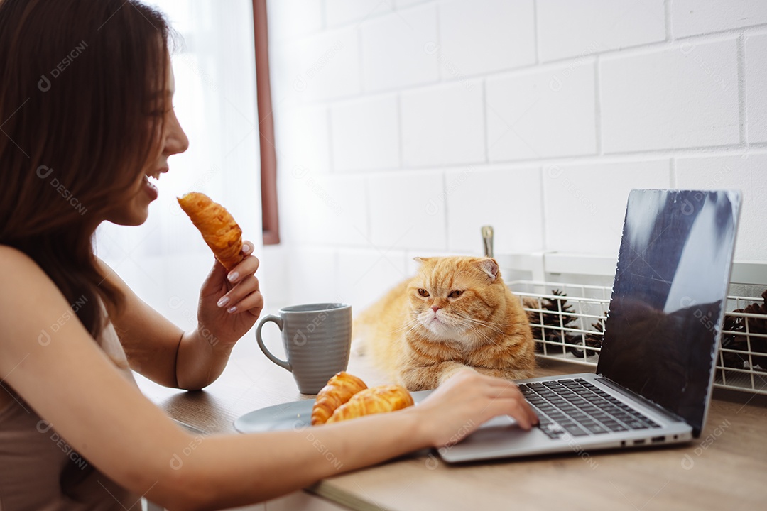 Mulher jovem asiática feliz trabalhando com computador portátil com gato bonito durante o dia de manhã.